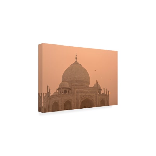 Dan Ballard 'Taj Mahal 2' Canvas Art,30x47